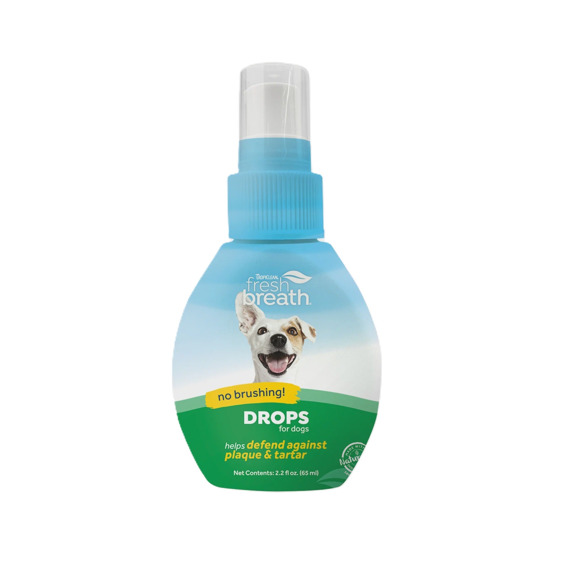 Dental Care — All About Pawz Memphis